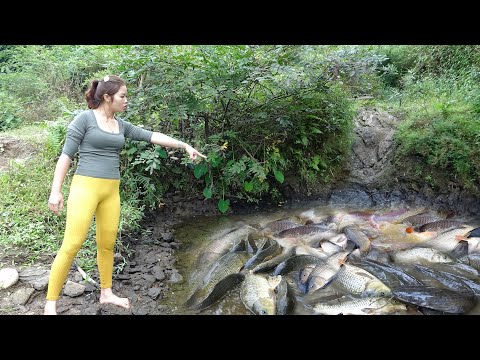Unique Fishing | Use a Pump To Suck Water Out Of The Lake -