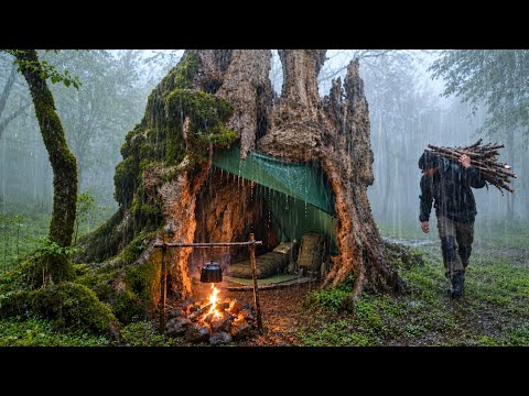 Hidden Shelter in the Rain Camping Inside a Giant Tree in