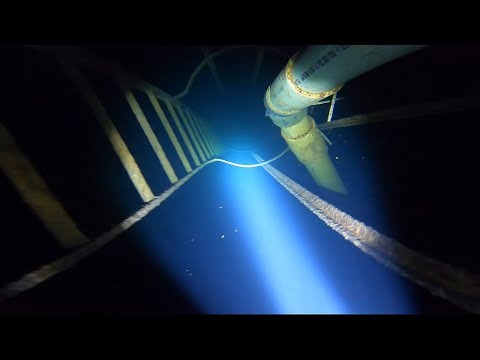 Go Pro Hero 8 underwater Depth Test (No Case)