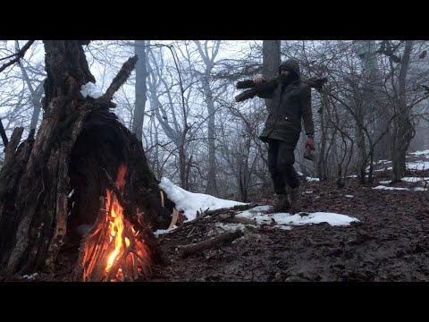 Can I survive in a foggy, snowy forest at -5°C inside a