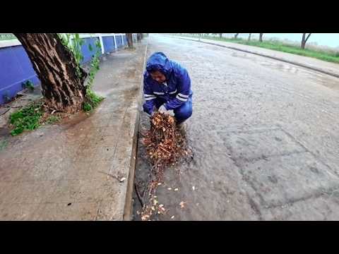 Collect trash and debris from clogged drains to open up
