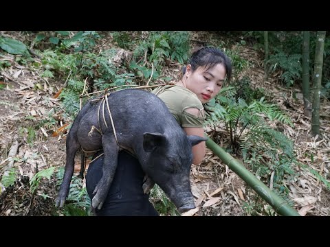 wild boar trapped, wild boar trap making skills, survival