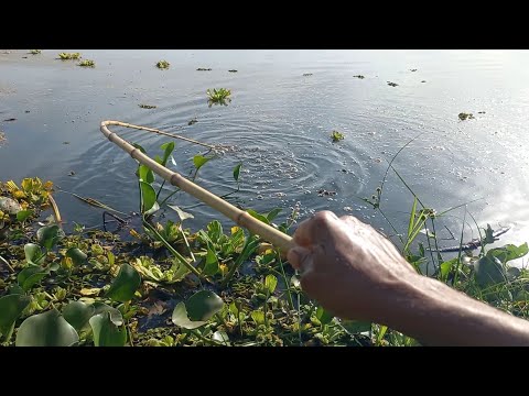 Cheguei no Rio turvo para pescar curimba mais quando usei