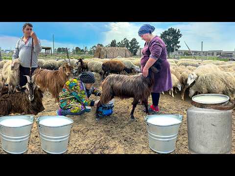 Grandma Rose Milked Sheep on the Farm and Made Natural