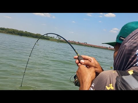 Era para ser Pescaria de peixe de couro mais os tucunare e