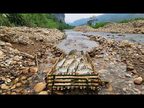 Bamboo and green-net fish traps caught a large quantity of