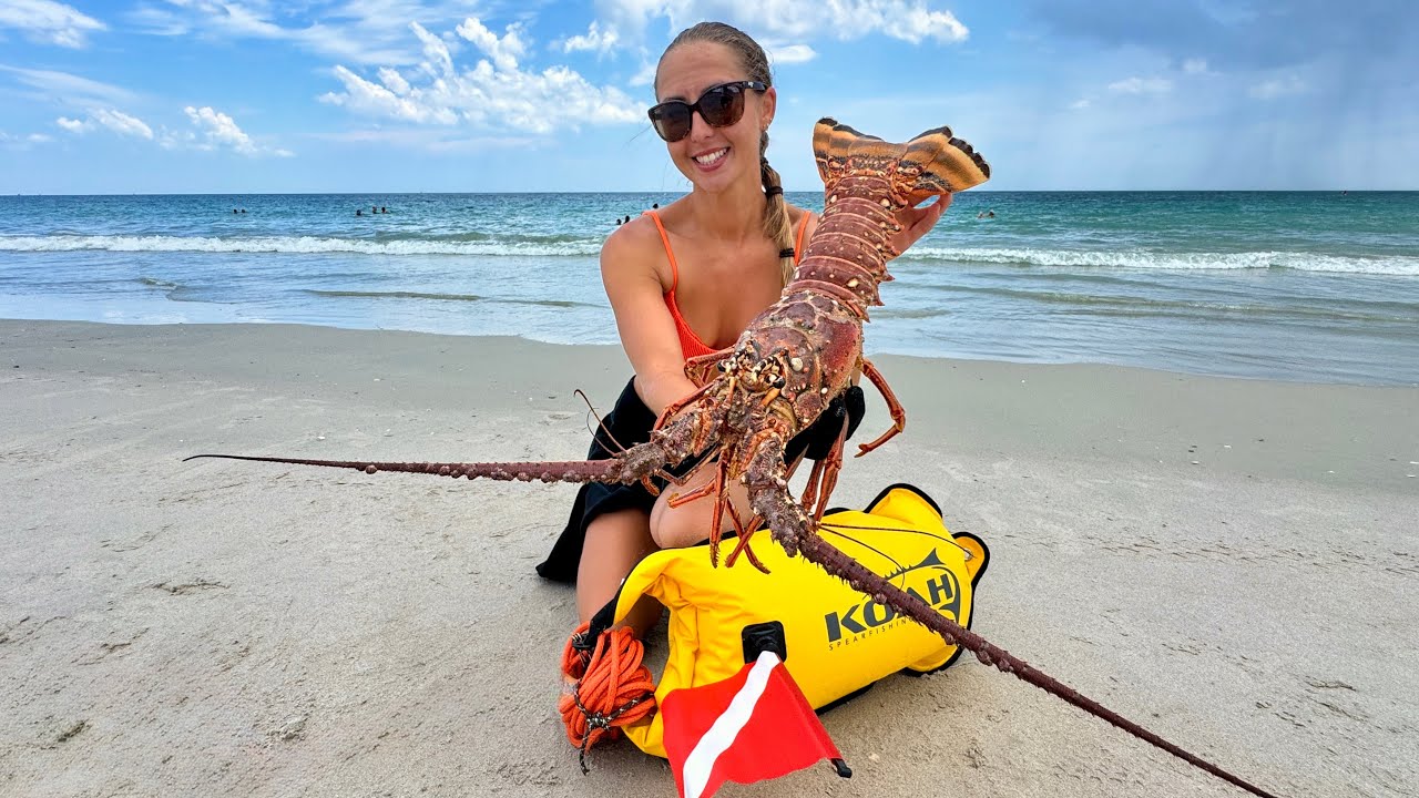 Catching GIANT Florida Lobster From The Beach &