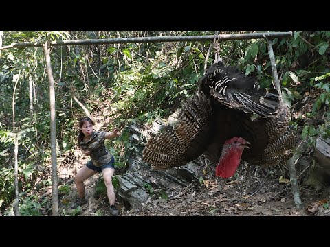 turkey trapping, stream fishing, cooking skills, survival