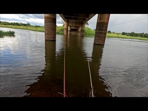 Não dava tempo da isca descer se piscasse a vara ia embora