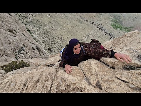 Kulthum's journey to the mountains: picking mountain herbs
