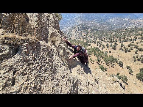 From the Heart of the Mountain: The Emotional Story of