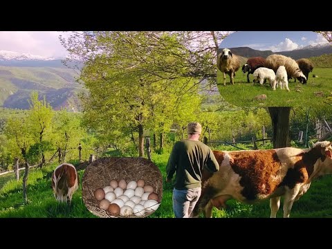 Medeniyetten uzak bir köyde mutlu yaşam İlkbahar köy