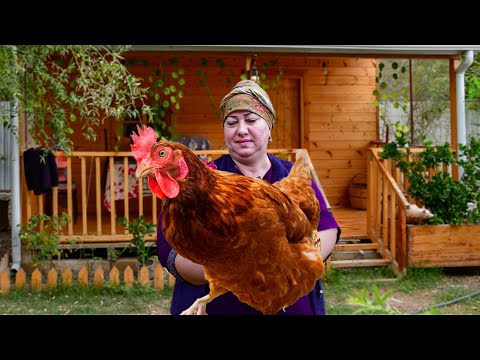 CHICKEN SHAWARMA RECIPE - Delicious and Crispy Campfire