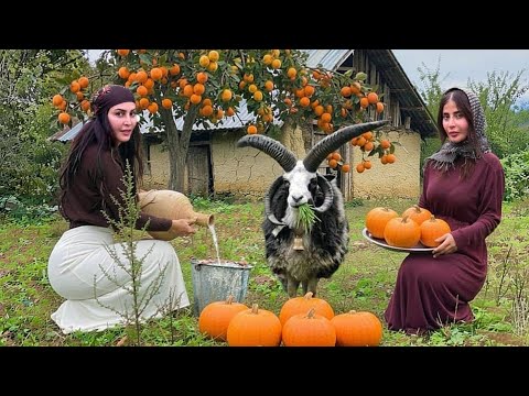 Village Cheese: A Traditional Recipe