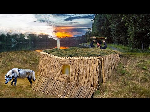 Building a shelter in the wild wolf's den