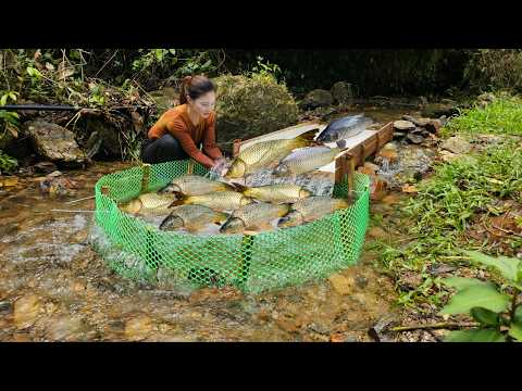 Ana was lucky enough to catch many large carp from her trap