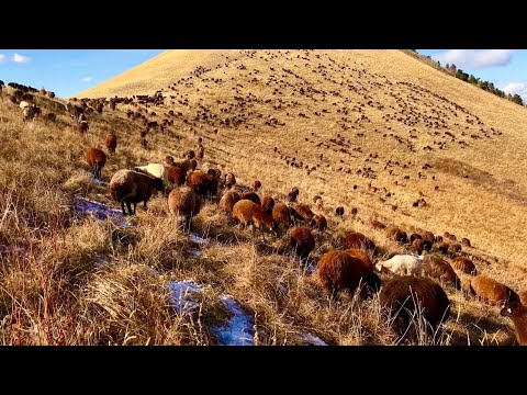 SEBZELİ MAKARNA DRONLA KEŞİF(12 gün)