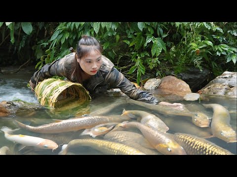Catching Stream Fish in the Deep Forest Building a