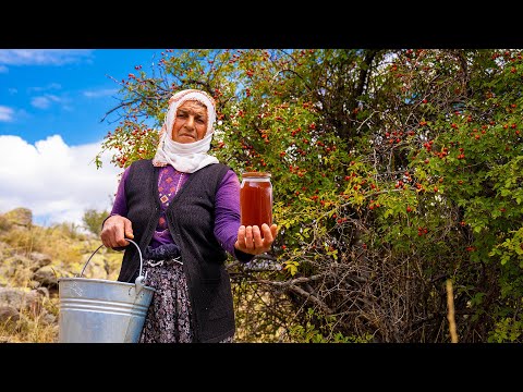 Dağda Kuşburnu Toplayıp Reçelini Yaptık-Köyde ki Yaşam