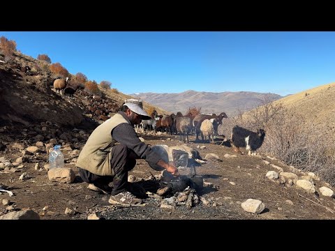 NAİM'LE İRAN ÇOBAN KAVURMA - HIRÇO TAVŞAN KOVALIYOR