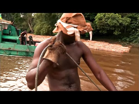 Gabon : Le bois maudit Routes de l'impossible