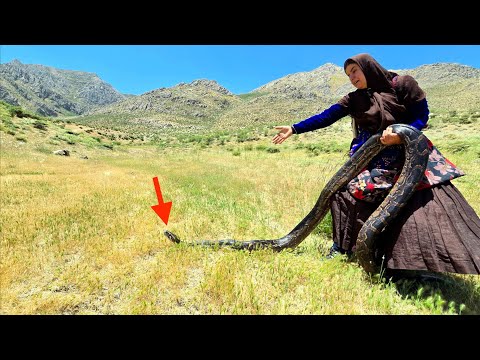 Giant dragon in the mountains and dead sheep: The scariest