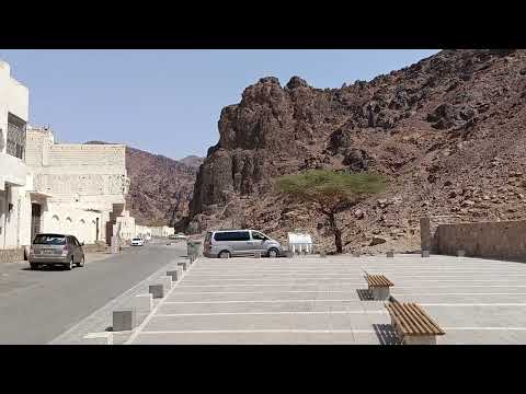 Uhud'da Efendimizin (a s m) tedavi edildiği gül kokan