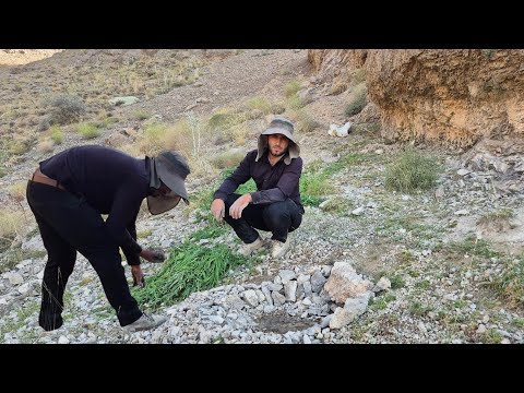 Saving the disappearing mountain springs Did it save the