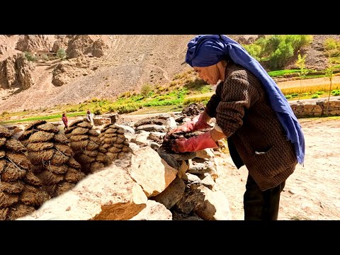 Unbelievable Love Story of an Elderly Couple Living Like
