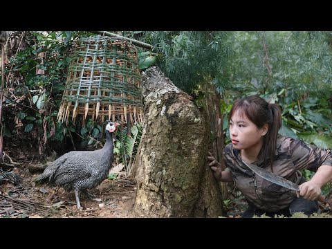 Discovered traces of giant forest birds, made traps to