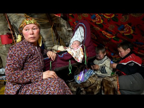 How people survive in FAR NORTH of RUSSIA? Yamal. Nomads