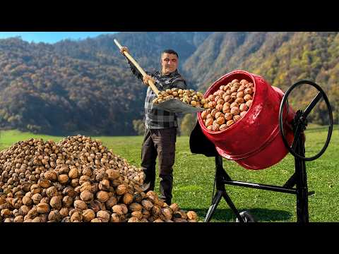 We've Harvested Walnuts Cooking Natural Sweets