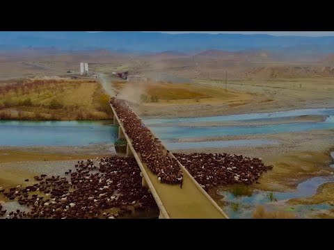 ARAS NEHRİNİN SUYU İLAÇ GİBİ GELDİ—BOZOYU
