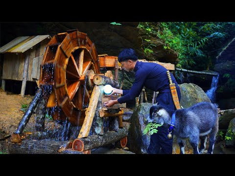 I used a waterfall to generate free electricity for my