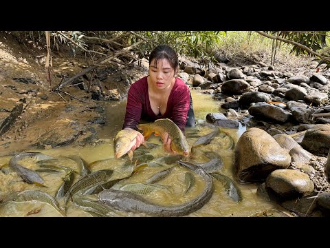 Wild Fishing Techniques | Fishing with Girl, Harvest Big