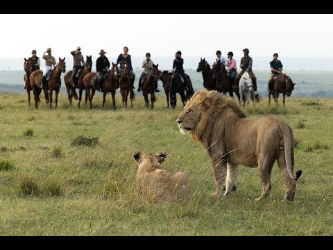 1 - THE MASAI MARA HORSE RIDING SAFARI - KENYA
