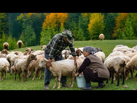 Cooking a Whole Lamb Stuffed with Bulgur in a Barrel