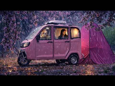 I Camped in a Pink Tricycle Van Durning Cherry Blossom Rain