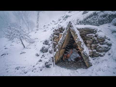 Surviving −30°C in Deep Snow Finding a Rocky Shelter and