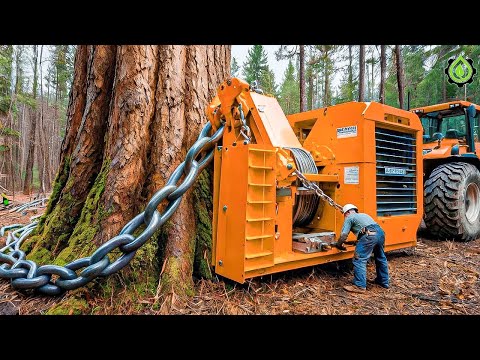 Extreme Dangerous Fastest Big Chainsaw Cutting Tree