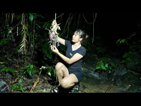 find a new shelter under the rock cave, night hunting,