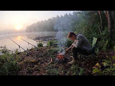 Solo Camping in the Wilderness: Fishing and Cooking My Catch
