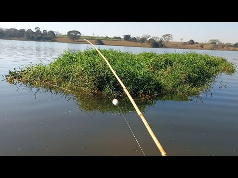 Pescaria de tucunaré Curvinas e peixe de couro no Rio