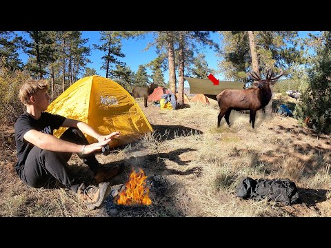2 Nights Camping, Hiking, & Exploring for Wild ELK