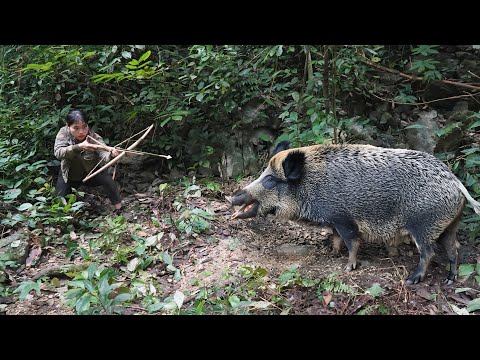 Crossbow Hunting Wild Boar and Building a Fireplace to