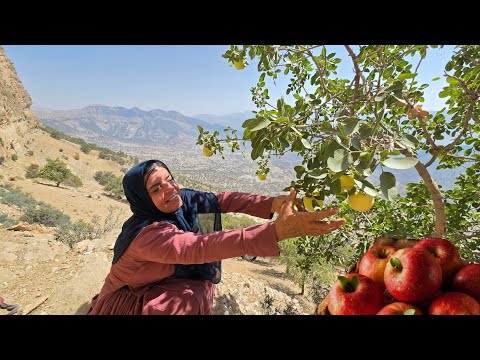 Kulthum's adventure in the mountains: pure moments picking