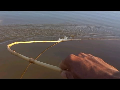 Que Pescaria foi essa era peixe pra todo lado o bambu