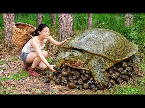 Deep In The Jungle : Harvesting 1000 turtles & snails from