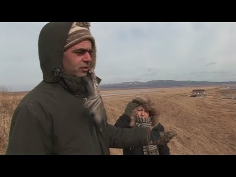 Saint Pierre et Miquelon, on n’arrête pas la mer : vers la