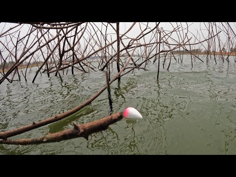 Veja a bóia afundar Pescaria caipira no Rio turvo Gigantes